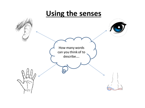 Detective and Crime Writing Senses Sheet