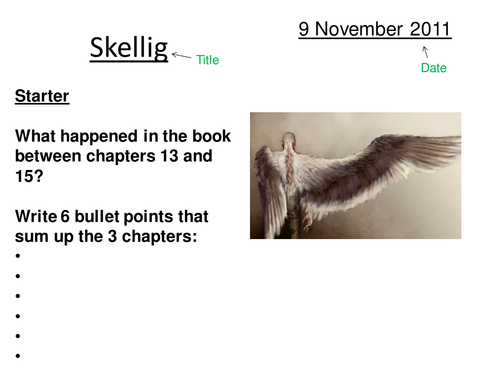 Skellig Lesson 13