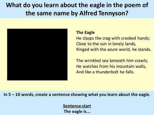 The Eagle - Powerpoint
