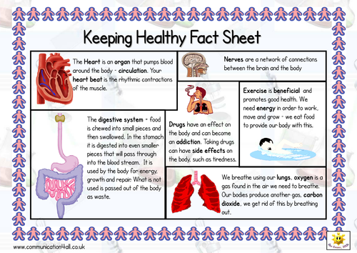 Keeping Healthy Double Sided Fact Sheet by bevevans22 - Teaching ...