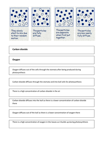 Diffusion Activity Summary Worksheet