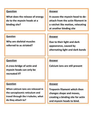 A level Revision flip cards for muscles