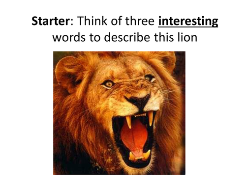 Animal Magic SOW/Lesson Plan