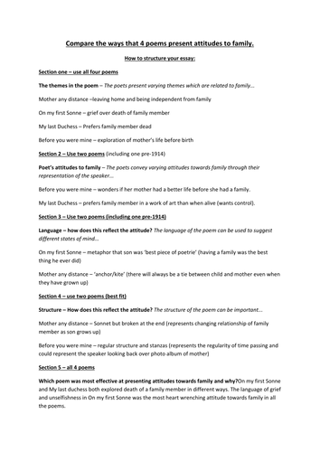Family Essay