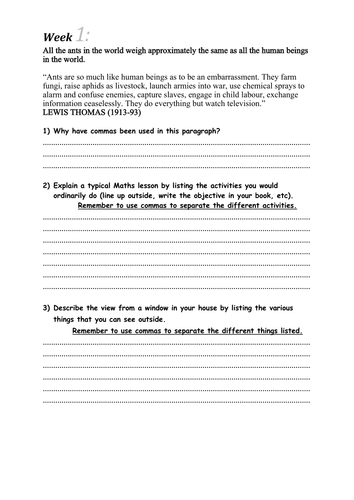 GCSE Pupils English Homeowrk Booklet C grade