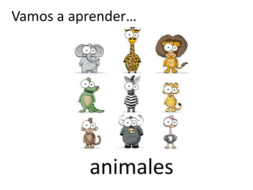Presentation of animal vocabulary items