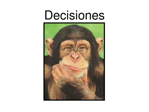 Animal vocabulary practice activity – ‘decisiones’