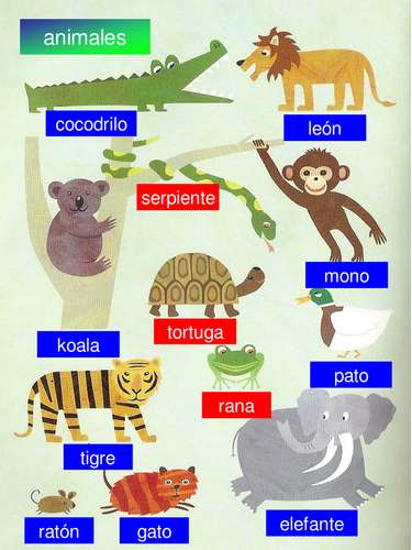 Extra animal vocabulary 1