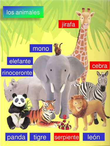 Extra animal vocabulary 2