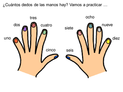 Practice of numbers 1-10 – Finger activity | Teaching Resources