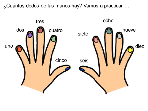 Practice of numbers 1-10 – Finger activity