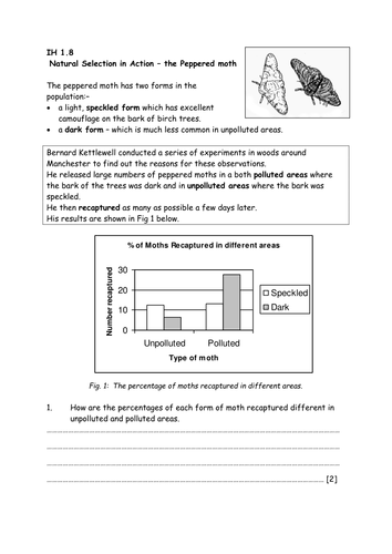 Peppered Moth Data Analysis | Teaching Resources