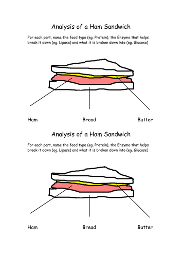 analysis of a ham sandwich