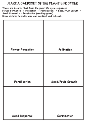 Make a plant life cycle cardsort