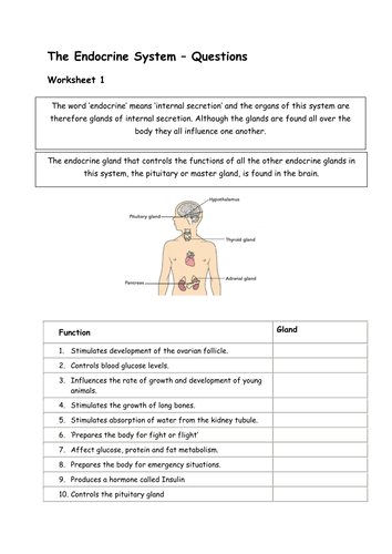 Glands and Hormones in the endocrine system | Teaching Resources