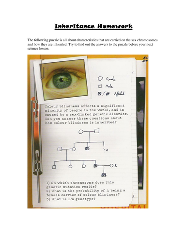 inheritance homework sheet