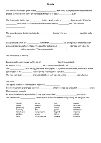 Meiosis Worksheet Teaching Resources