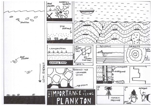 The Importance of Being Plankton
