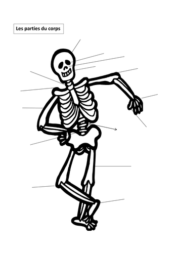 Vocabulary: les parties du corps