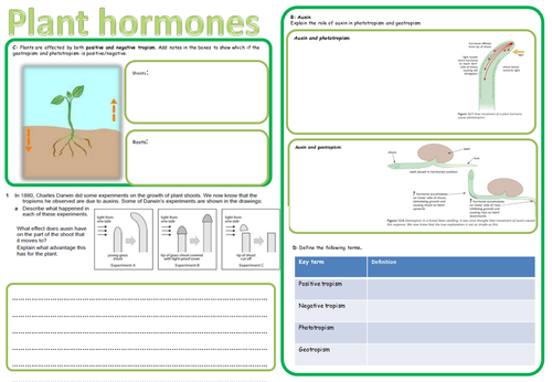 IGCSE plant hormones revision
