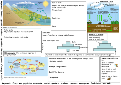 IGCSE Nutrient cycles learning mat