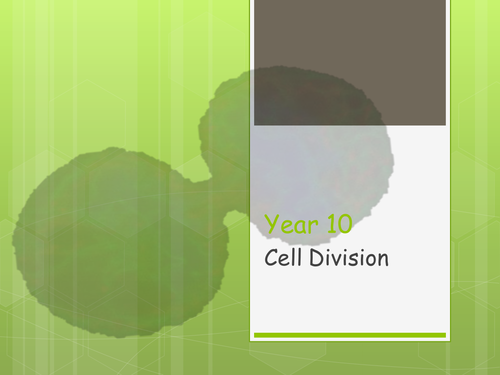 Cell Division & Meiosis