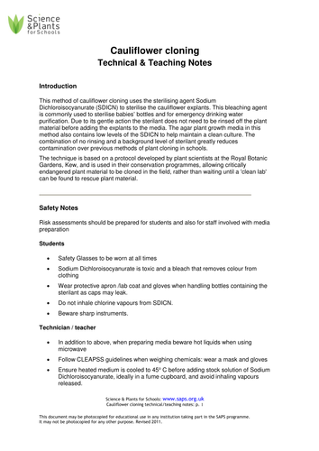 Cloning cauliflowers