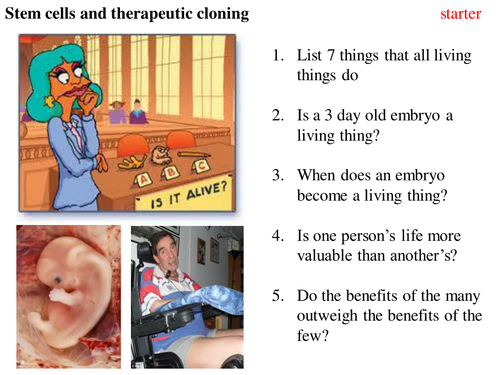 Stem cells and ethics