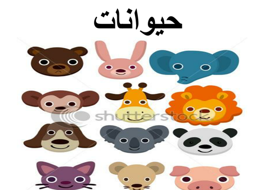 Arabic flashcards