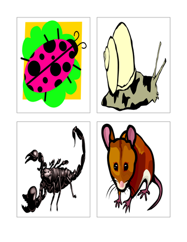 Trial & Improvement Resources