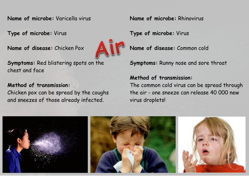 Disease Transmission Circus