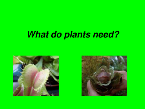 What do Plants Need?