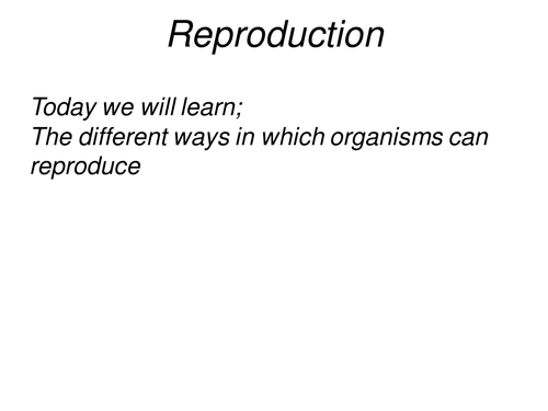 Asexual Reproduction