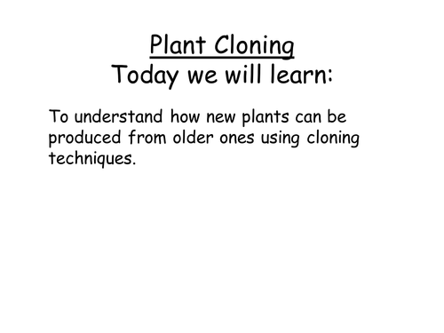 Plant Cloning Lesson
