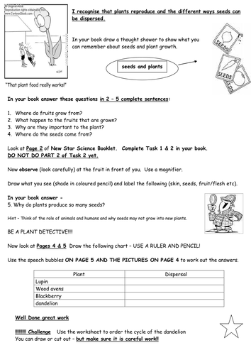 Seed dispersal | Teaching Resources