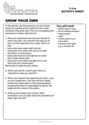 Growing our food Lesson 1: Growing wheat