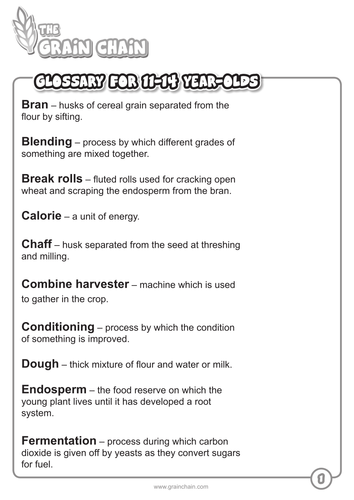 Grain Chain Glossary (11-14)