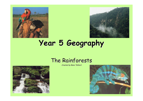 The Rainforests