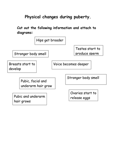 puberty activity