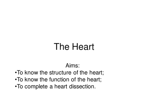 heart dissection