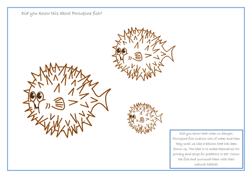 Porcupine Fish Fact