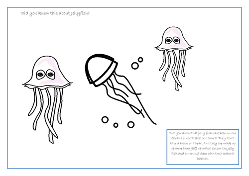 Jelly Fish Facts