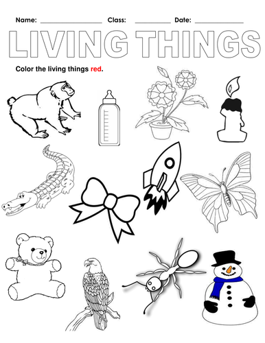 Color the Living Things Red by TeacherShaun Teaching