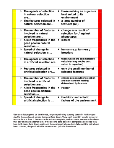 Loop / Pairs Game Natural and Artificial Selection ...