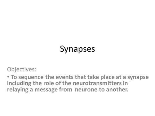 synapses lesson