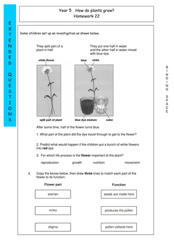 Where will seeds grow? Homework 22