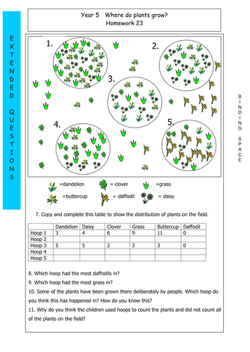 How do plants grow from seeds image