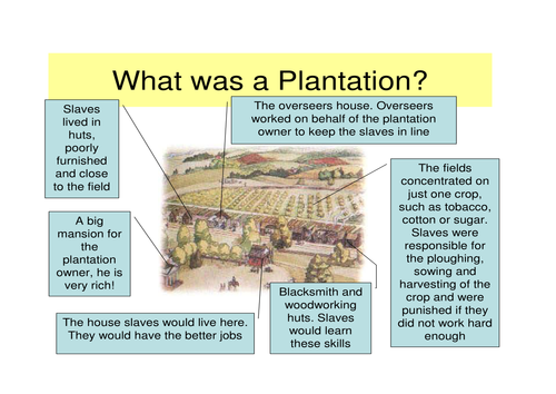 Map of a plantation