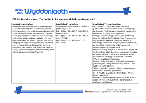 Sgiliau Trwy Wyddoniaeth CA2