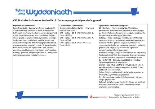 Sgiliau Trwy Wyddoniaeth CA3
